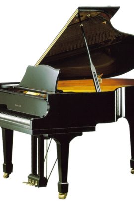 SAMICK NSG186D/EBHP артикул 443281