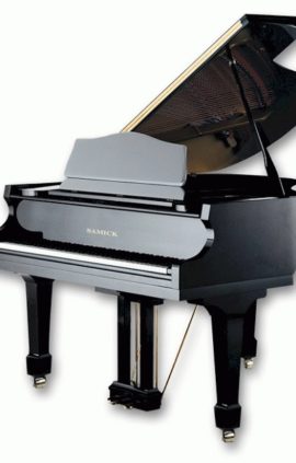 SAMICK SIG50D/EBHP артикул 448214