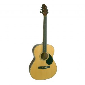 GREG BENNETT GA60/N - акустическая гитара