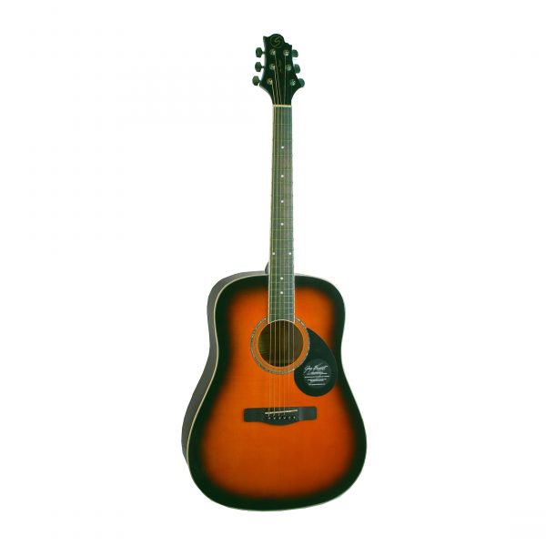 GREG BENNETT GD100S/VS - акустическая гитара