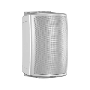 TANNOY AMS 5DC WH - пассивная акустическая система