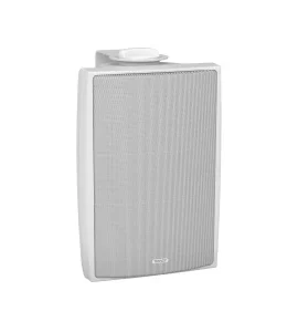 TANNOY DVS 4 WH - всепогодная пассивная акустическая система