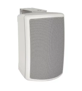 TANNOY AMS 5ICT LS-WH - пассивная акустическая система
