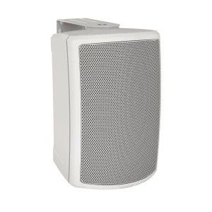 TANNOY AMS 5ICT LS-WH - пассивная акустическая система