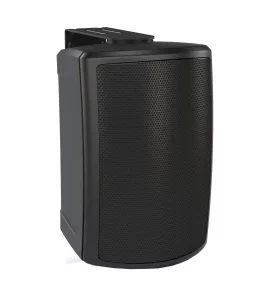 TANNOY AMS 5ICT LS - пассивная акустическая система