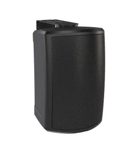 TANNOY AMS 5DC - пассивная акустическая система