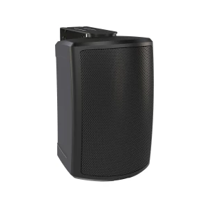 TANNOY AMS 5DC - пассивная акустическая система