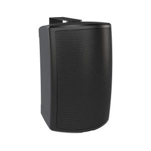 TANNOY AMS 6DC - пассивная акустическая система